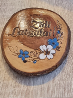 latgales-darzu-un-plavu-stasti_22