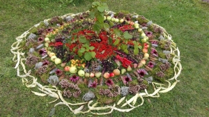 Rudens_6