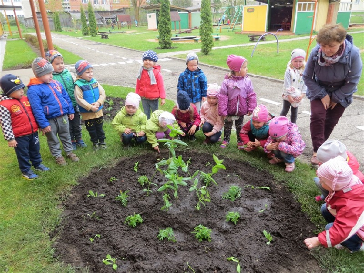 Apzaļumošanas talka Maltas PII “Dzīpariņš